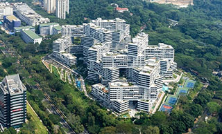 The Interlace